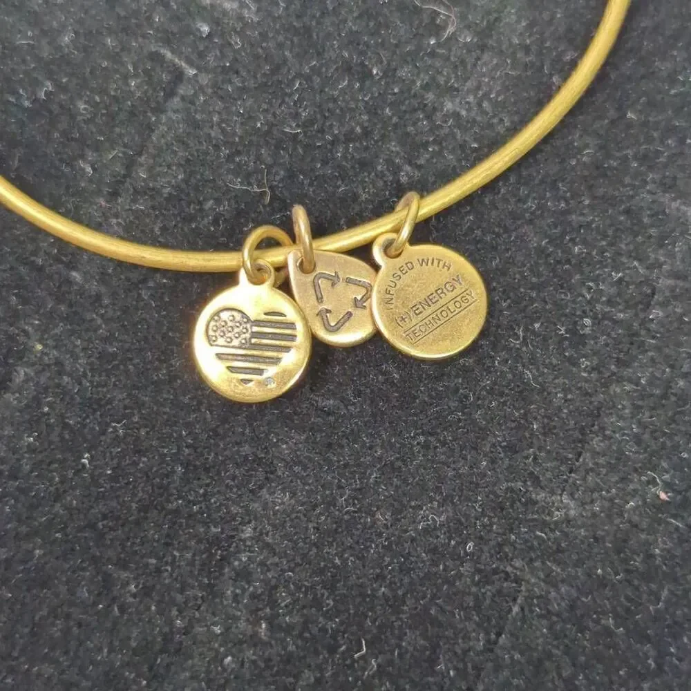 Alex & Ani Unexpected Miracles Slider Bracelet Rafaelian Gold Finish Adjustable
